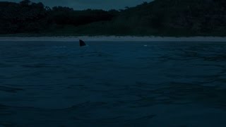 Águas Rasas Melhores Cenas