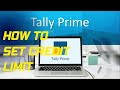 How to Set Credit Limit in Tally Prime | Credit limit management in Tally prime|| Credit limit prime