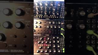 Freaky Friday Moog Subharmonicon DFAM Patch