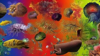 Evolution Exposed: The Mind-Blowing History of Life on Earth