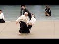 Excellent Aikido Doshu Moriteru Ueshiba - 56th All Japan Aikido Demonstration 2018