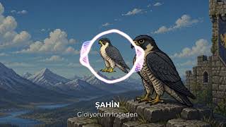 Şahin - Gidiyorum İnceden