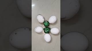 nazi gola bomb v/s egg experiment 💣💥🤯 #shorts #viral #reels #ytshorts #crackers #explore