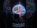दिमाग की असली ताकत | Human Brain #humanbrain #shorts