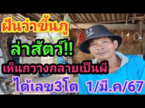 ฝันว่าขึ้นภูล่าสัตว์!!เห็นกวางกลายเป็นผี