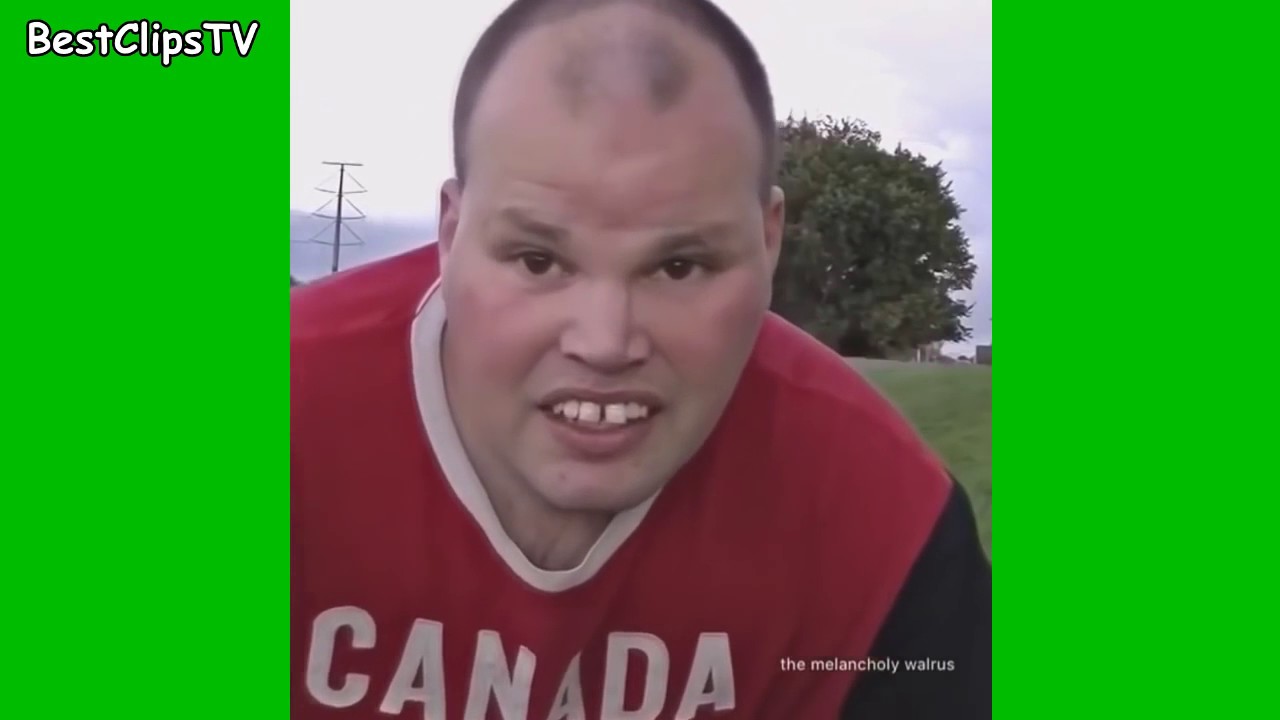 Funniest DANK VINE MEMES Compilation 2016 Try Not to Laugh Or Grin Challenge