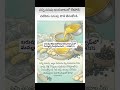 interesting facts #short#video