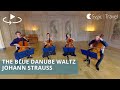 360° Classical Music Concert - The Blue Danube Waltz by Johann Strauss performed by Solitutticelli