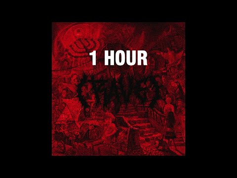 [1 HOUR] Dxrk ダーク - RAVE