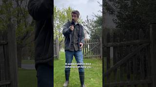 Why birds fly low before storms: swallows follow insects that drop when the weather changes.