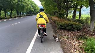 We Almost Gave Up On The Puppy Who Followed Us All The Way