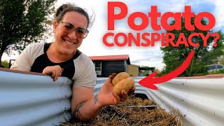 Cultivating a NEW Garden Space (Potato Conspiracy??) | Farm Live VLOG