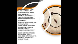 Why is Aman Pest Control the Best Bristol Pest Controller for Eco-Friendly Solutions?