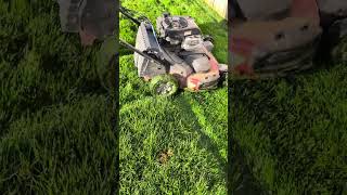 DR 30" Mower vs Toro Timemaster 30 inch Lawn mower. 4" WET GRASS TEST!