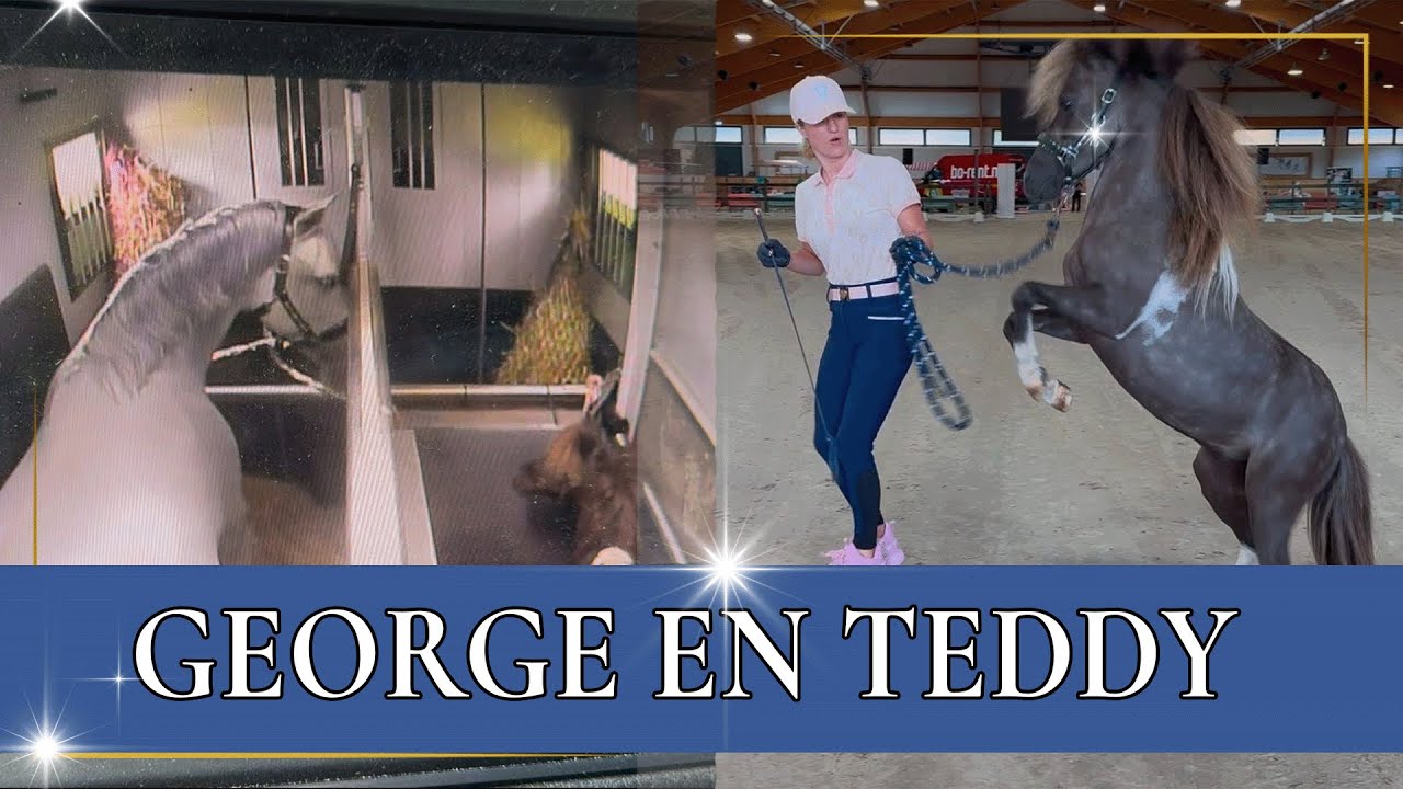 George & Teddy samen in de vrachtwagen?!  | PaardenpraatTV