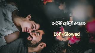 Chadiki Paribi Tate Lofi Slowly Romantic Song Chadiki Paribi Tate Odia Lofi Slowly Romantic Song