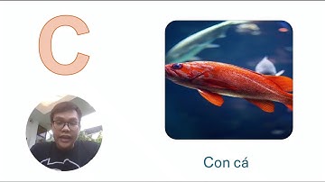 Learning Vietnamese Part 3: Pronouncing the first group of consonant  - B C D Đ