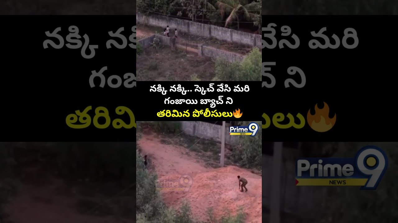 నక్కి నక్కి.. స్కెచ్ వేసి మరి.. గంజాయి బ్యాచ్ ని తరిమిన పోలీసులు😂| Police Caught Ganja Batch🔥