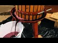 Home Wine Making From Grapes - Red Wine and White Wine - Demonstration and Tips