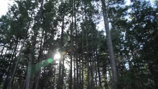 Gulf Island Getaway