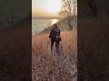 D/3⛰️🏞️ #youtube #youtubeshorts #vlog #minivlog #travel #tracking #views #camping #likeforlikes