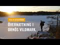 Övernattning i Ornös vildmark | Kåta & kamin från Seek Outside |