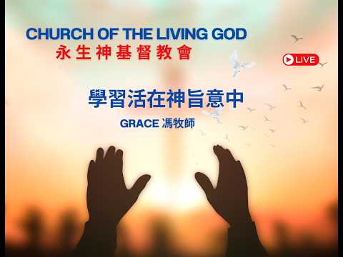 學習活在神旨意中  (2026年03月01日)