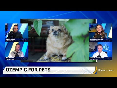 Ozempic For Chonky Pets?! Spotify Wrapped And Holiday Toy Drives - Morning Addition