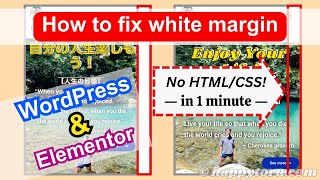 How to Remove White Margin on Right Side WITHOUT CSS in 1 Minute