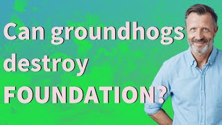 Can groundhogs destroy Foundation?