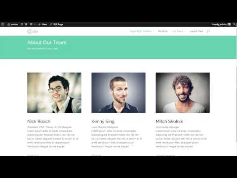 Using The Divi Fullwidth Portfolio Module