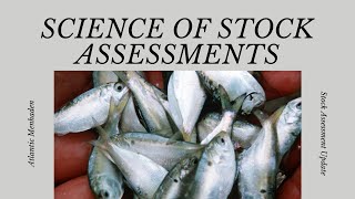 Progress Update on 2025 Atlantic Menhaden Stock Assessment