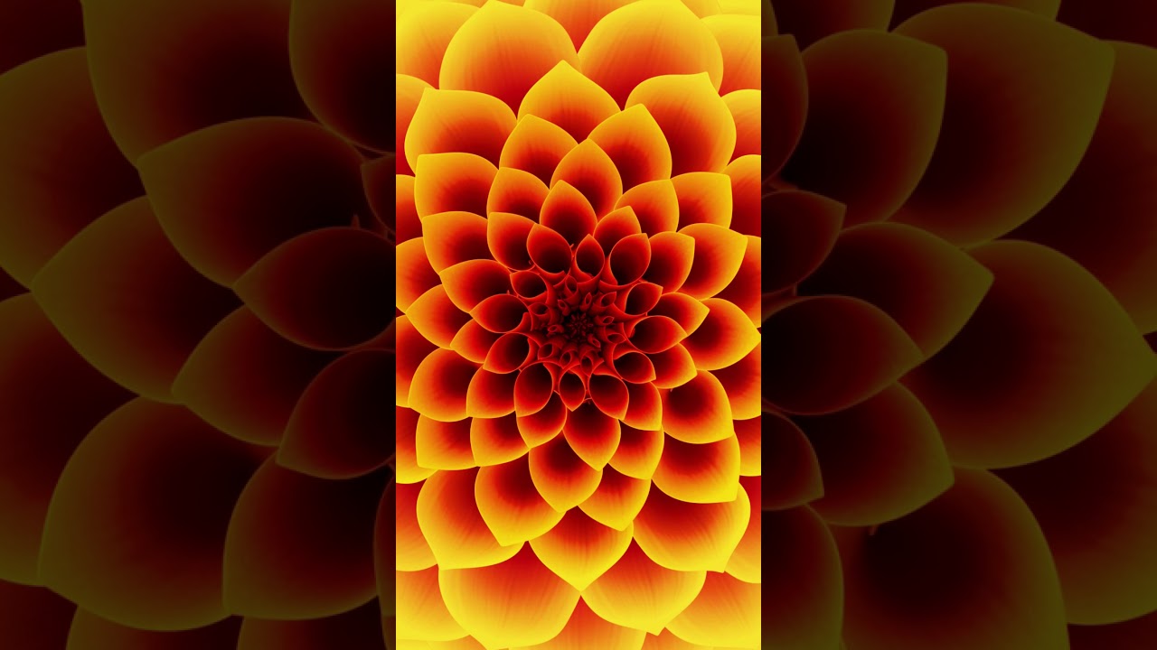 Fractal flower