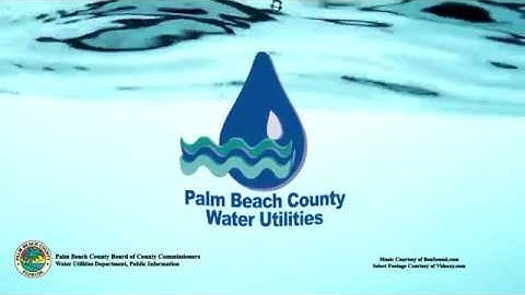 AMI Installation Project: Palm Beach County Water Utilities Department