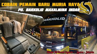 Coba PO Baru & Bus Baru‼️Avante H8 Grand Captain Pertama di Muria Raya🔥Trip Po. Barxolid Maxalima.