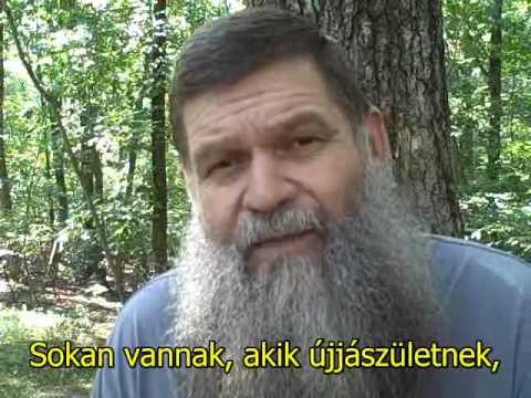 Videó: Valóban megtörténik az újjászületés?