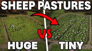 Complete Beginners Guide for the Sheep Farming! | Manor Lords