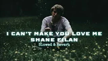 I Can't Make You Love Me by Shane Filan | Slowed&Reverb