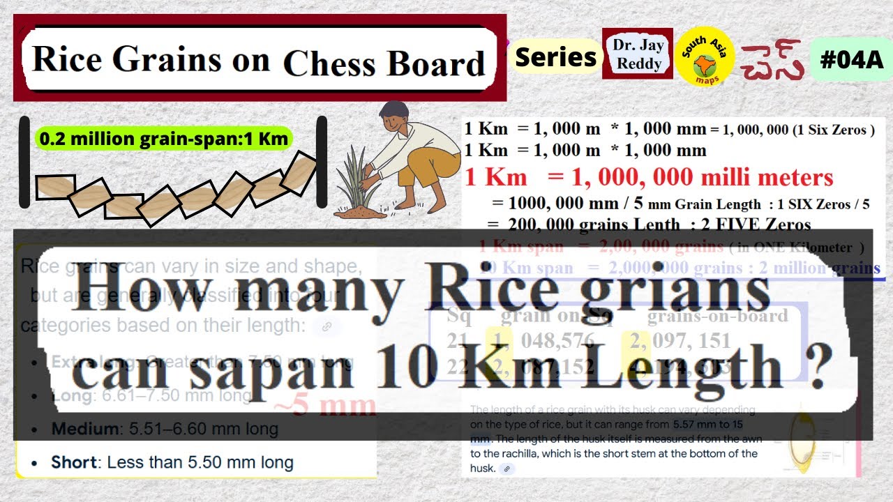 Rice & Chess Board: #04A: 20 Million grains span 10 Kilometers : Rice ...