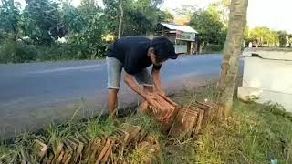 cerpen story wa ono purel