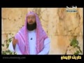 قصص الأنبياء الحلقة الثامنة سيدنا إبراهيم عليه السلام وقصة بناء الكعبة نبيل العوضي 