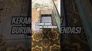 keramba mandi burung rekomendasi #keramba #kerambaburung #kerambamandi