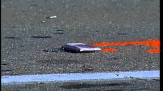 Student has life-threatening injuries after being struck in front of school