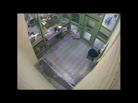 Woman caught on tape escaping Central Lock-Up OPP ...