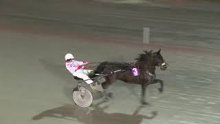 Vidéo de la course PMU LOPP 8