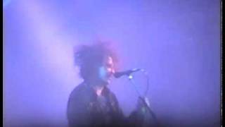 The Cure - High (Live 1993)