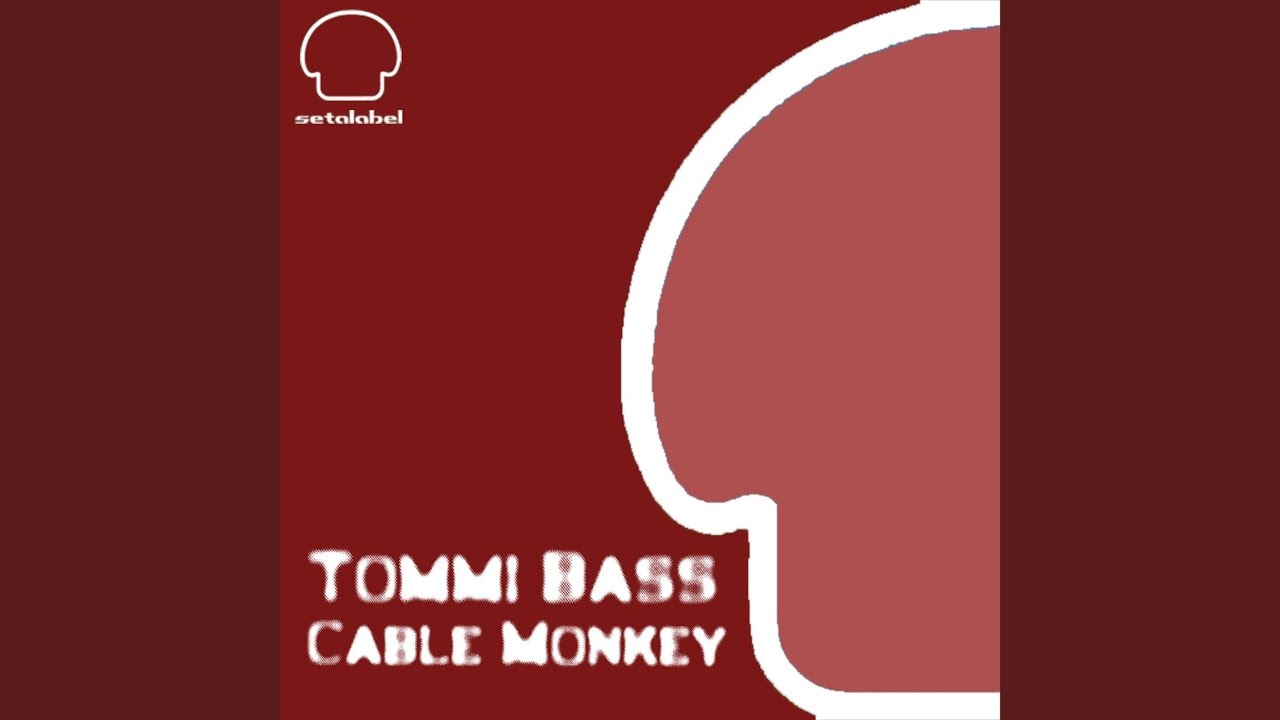 Cable Monkey (Tommi Bass vs. Mitchie Flawtin Remix)