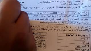 تصحيح الامتحان الوطني الدورة لاستدراكية 2019svt