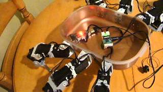 Hexapod - Assembled and moving