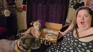 June 2022 Super Chewer Bark box unboxing with Lola and Jr. #barkbox #barkboxday #barkbox